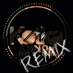 DJ Sneak - Funky Rhythm (Kotka Remix) READ DISCRIPTION!