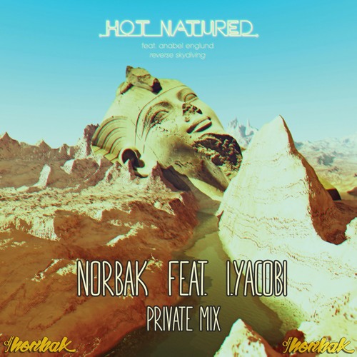Reverse Skydiving (Norbak feat. I.Yacobi - Private Mix) - FREE DOWNLOAD