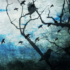 Intriguing Ambient Music