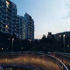 The Day That Lasted Forever