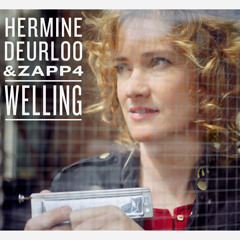 02 Het Gouden Wagentje