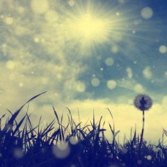 CHILL MUSIC
