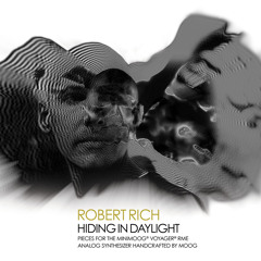 Hiding In Daylight | Robert Rich