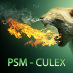 Culex (Original Mix)
