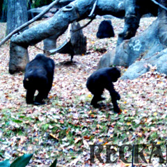 IN MY DREAMS (TRANCE)