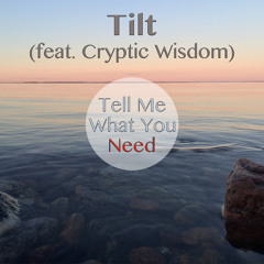 Tilt feat. Cryptic Wisdom - Tell Me What You Need