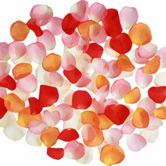 Le Tombeau de Couperin（Ravel）「クープランの墓・トッカータ」arrange (2012.12) 23歳