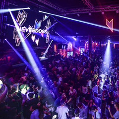 Neverdogs At Music On Opening Party - Amnesia Ibiza - 5 June 2015