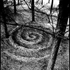 Forest Rituals -  Sunset into darkness Dj Set (Forest Techno)