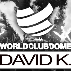 David K. @ World Club Dome Frankfurt 07.06.15