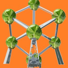 A Diet of Brussels - The Process of the Referendum