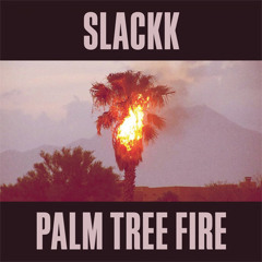 Palm Tree Fire, Album (2014)