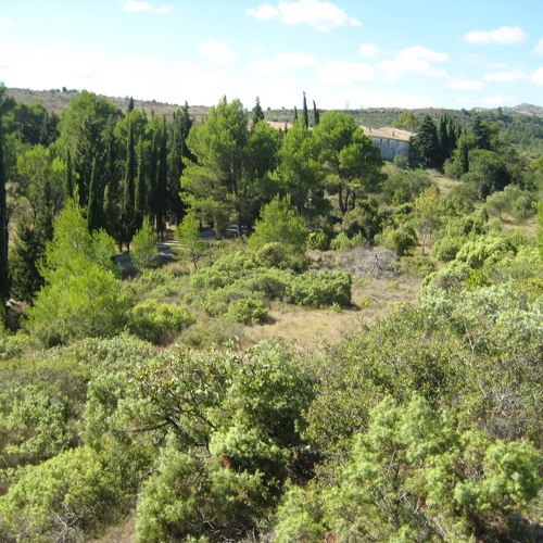Today (Field Recording - Free download)
