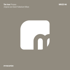 Tim Iron - Phrases (David Folkebrant Remix)