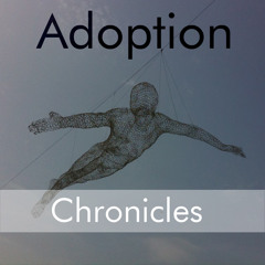 Adoption Chronicles 4 - Gathering 2015