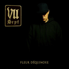 VII - Fleur d'équinoxe