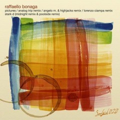 Raffaello Bonaka - Pictures (Analog Trip Remix) / Out now...