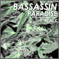 Bassassin - Paradise
