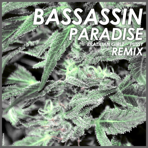 Bassassin - Paradise
