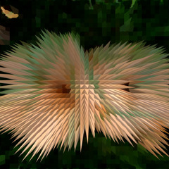 Mined The Veins (squashed Because) 1