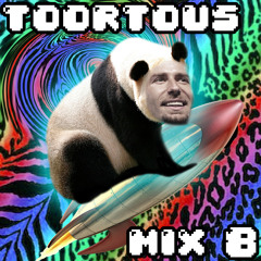 toortous mix eight