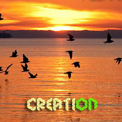 CK @ We Are Creation - 07.06.2015
