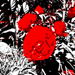Roses For The Dead (Funeral For A Friend)