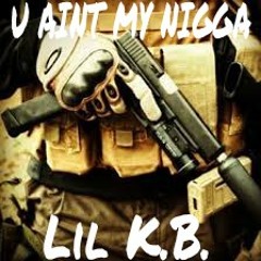 U Ain't My Nigga