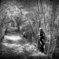 White Moon, Black Moon   2015 mix