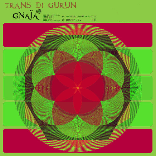 GnaÏa - PHENOMENA (live version extract)