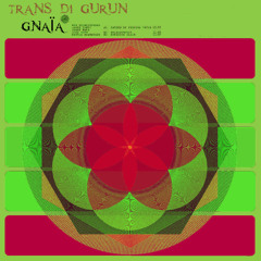 GNAÏA___Siddhi (live extract opencycle@ paris )