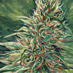 Tryna Love - Juicy J Ft. Ty Dolla $ign and Drake (Cover)