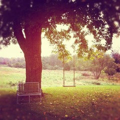 Under The Mango Tree