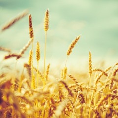 158. Last Summer (7 June 2015)