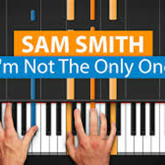 Sam Smith - I'm Not The Only One (Ege Gursoy Remix Ft. Beth)