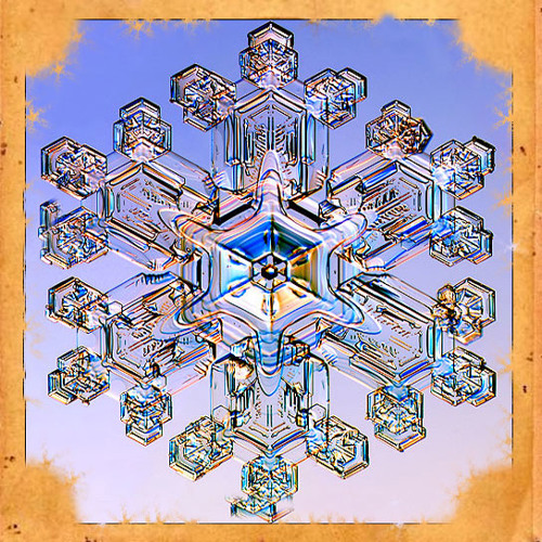 Bindi (Peter Power Edit)