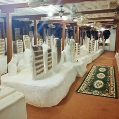 الحال يا احبابنا ببشار - عدنان الحبشي