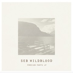 Seb Wildblood "Foreign Parts" - Boiler Room Debuts