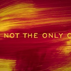 I'm not The Only One ( ft. Ziva Magnolya )