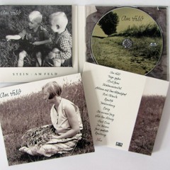 Blume auf dem Felsenschorf