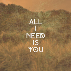 Alexias - I Need You (The Mankeys Edit)