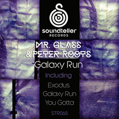 Mr. Glass & Peter Roots - You Gotta (Original Mix)