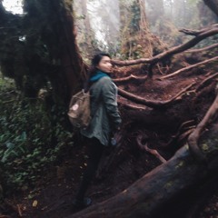 Two Door Cinema Club - Undercover Martyn (Cover)