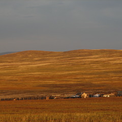 Талын Монгол айл - Taliin Mongol ail