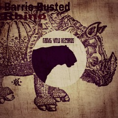 Barrie Busted - Rhino (GWR Original Mix)