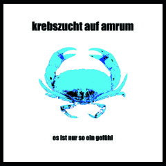 Krebszucht auf Amrum - Es ist ein B, Du Arsch