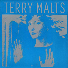 Terry Malts // Velocity Girl (Live)