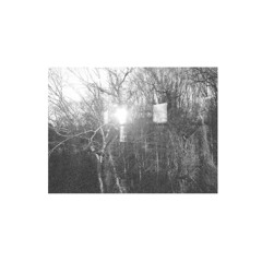 Polar Inertia - 'Can We See Well Enough To Move On (Part Two)'
