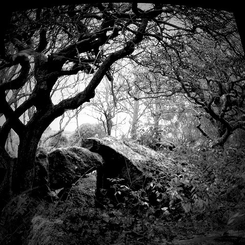 CORD - Guestmix for Åbysmal Ẹntities Årchivẹ