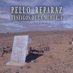Extracto 3 - Testigos De La Memoria - Pello Reparaz